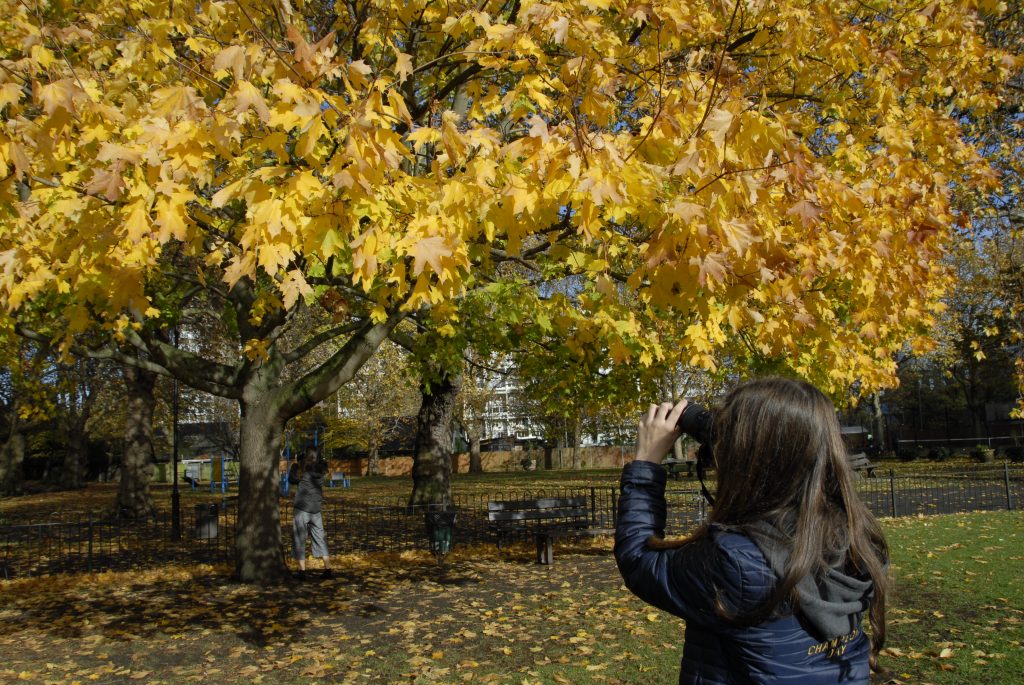 Photography top tip for photographing autumn colours